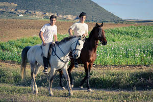 Andalusian young gentlemen.