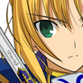 Saber Vector