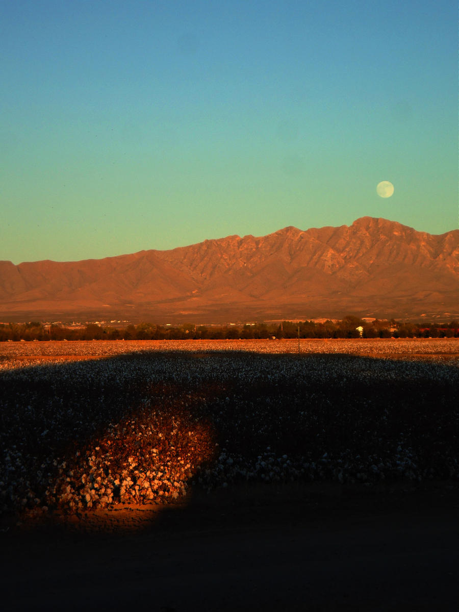 Luna and the Rockies