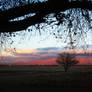 Evening in New Mexico