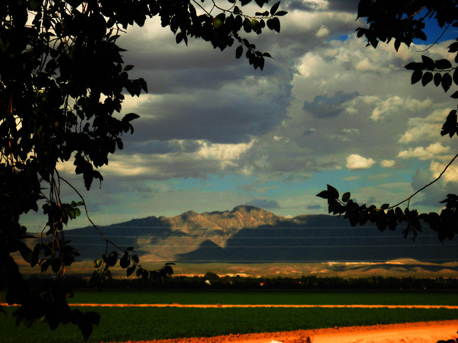 Shadows,Cotton and the Rockies