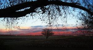 Evening In New Mexico