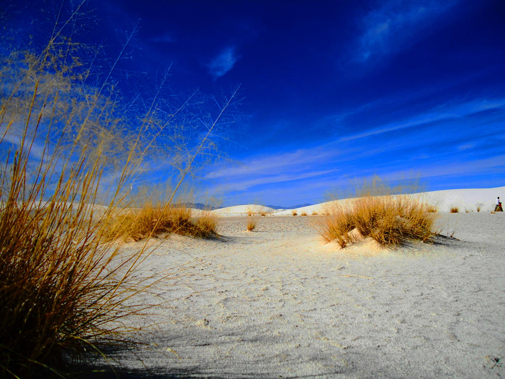 Blue White by SharPhotography