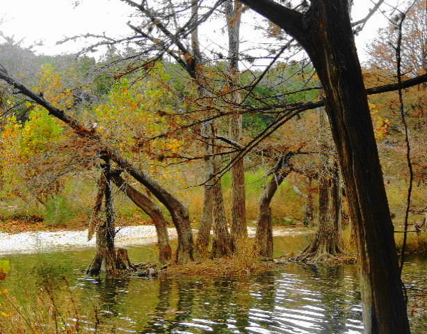 In the River