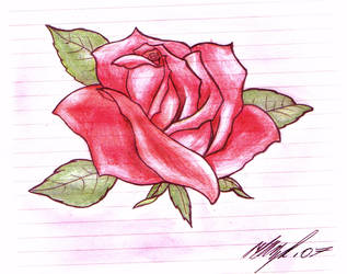 Rose Tattoo Design