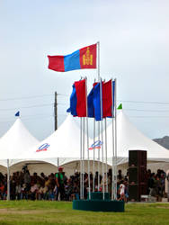 Mongolian Flag