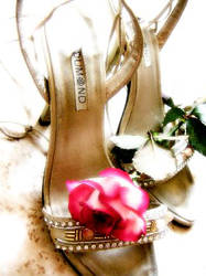 Rose and dancing shoes...