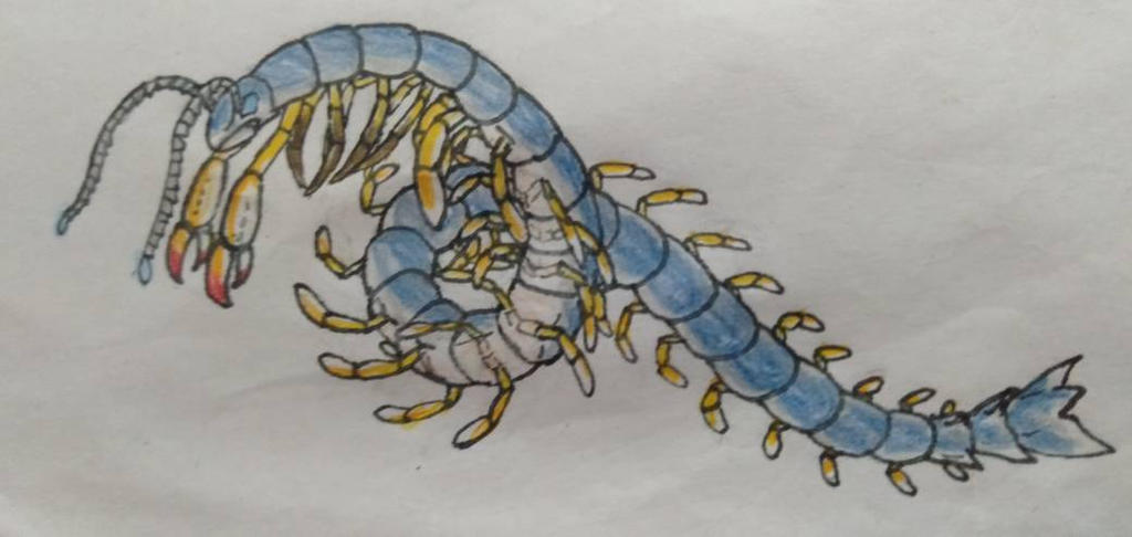 Con Rit - Paper Art by Ognimdo2002 on DeviantArt