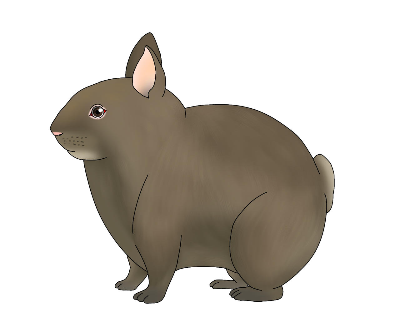 How To Draw A Volcano Rabbit Volcano Rabbit Drawing