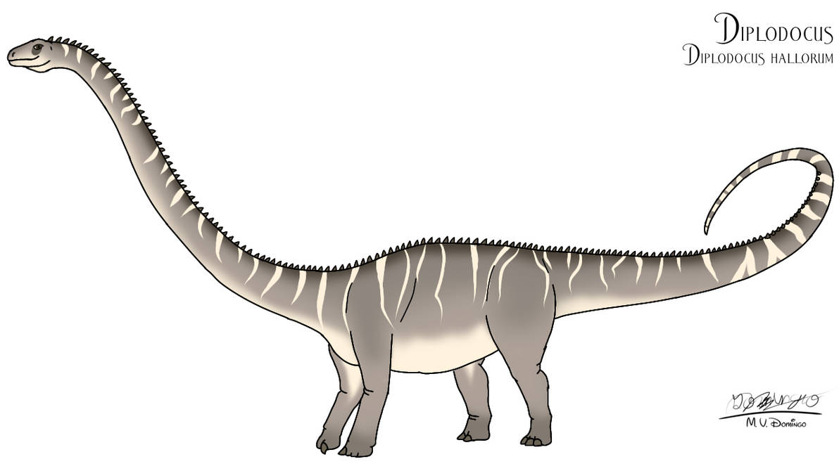 Diplodocus hallorum by Ognimdo2002 on DeviantArt