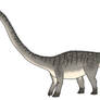 Diplodocus carnegii