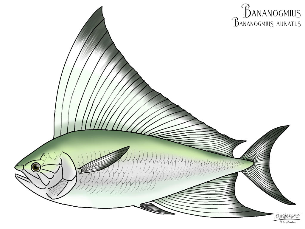 Banangomius Bananogmius auratus by Ognimdo2002 on DeviantArt