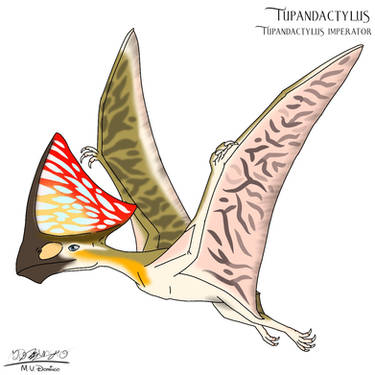 Explore the Best Pterodactyloidea Art