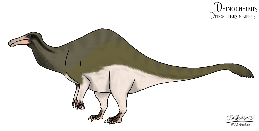 Deinocheirus mirificus, no longer an enigma