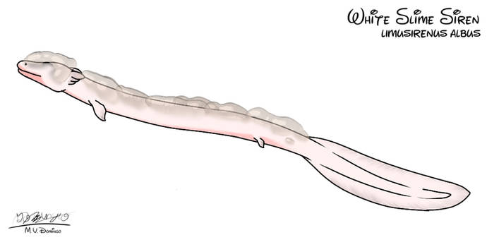 Explore the Best Slimesiren Art | DeviantArt