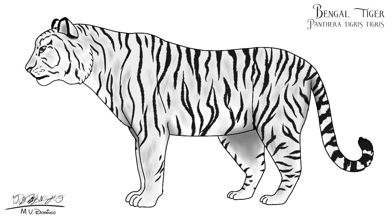 White Tiger by Ognimdo2002 on DeviantArt