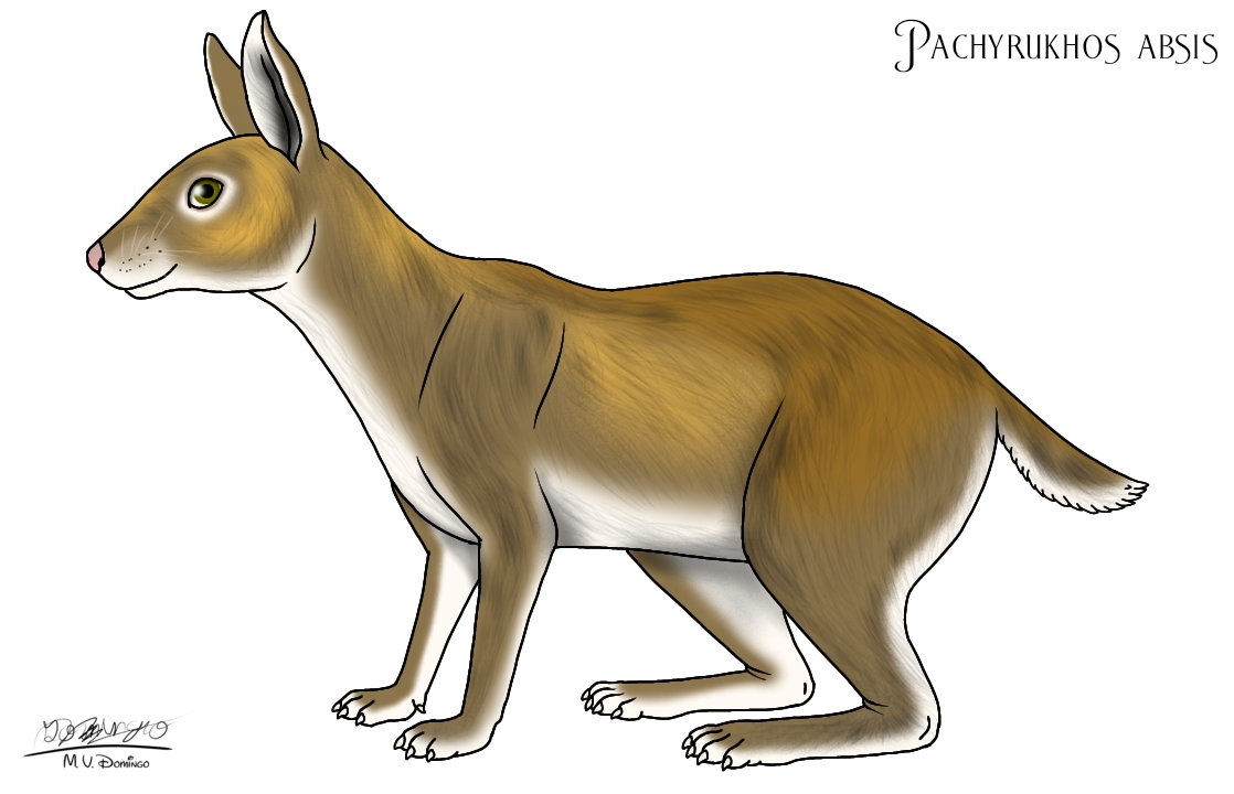 Pachyrukhos absis by Ognimdo2002 on DeviantArt