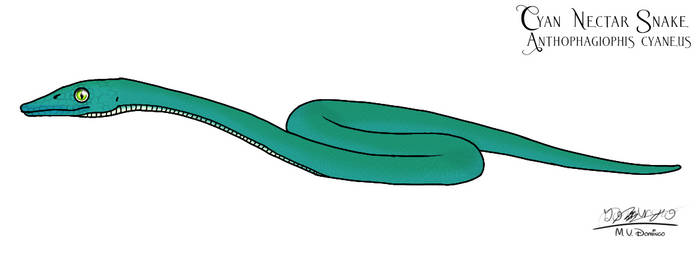 Cyan Nectar Snake