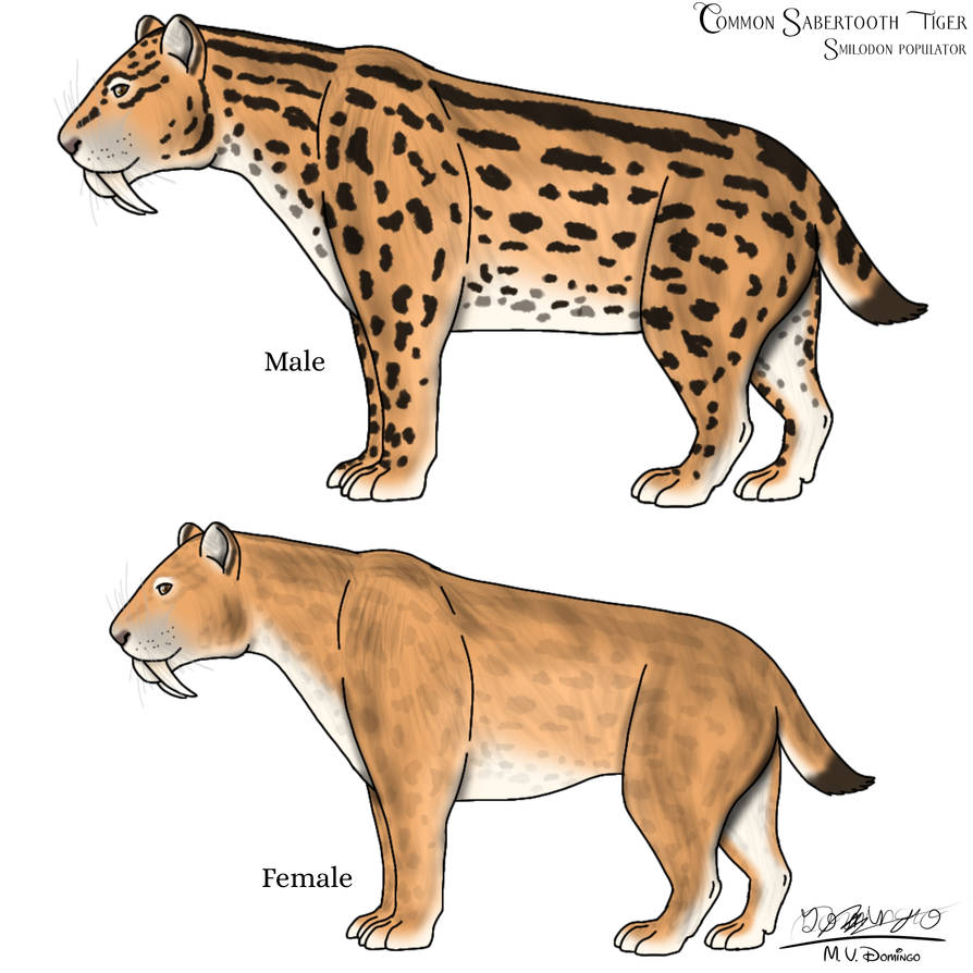 Smilodon populator by Ognimdo2002 on DeviantArt