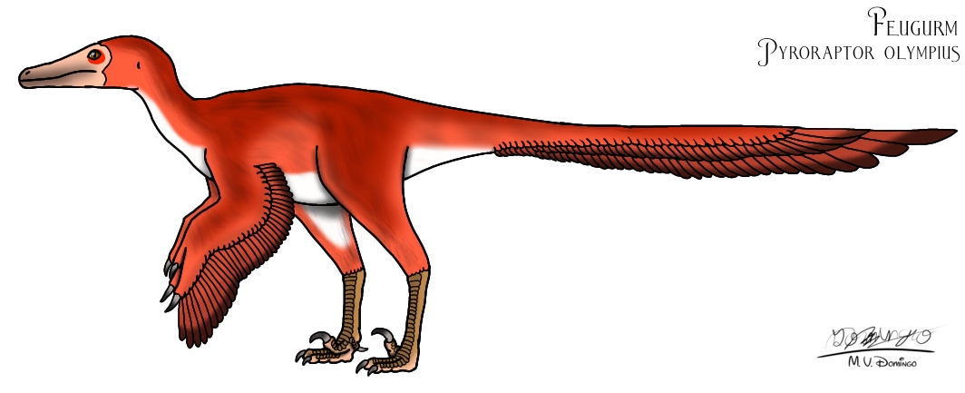 Pyroraptor olympius by Ognimdo2002 on DeviantArt