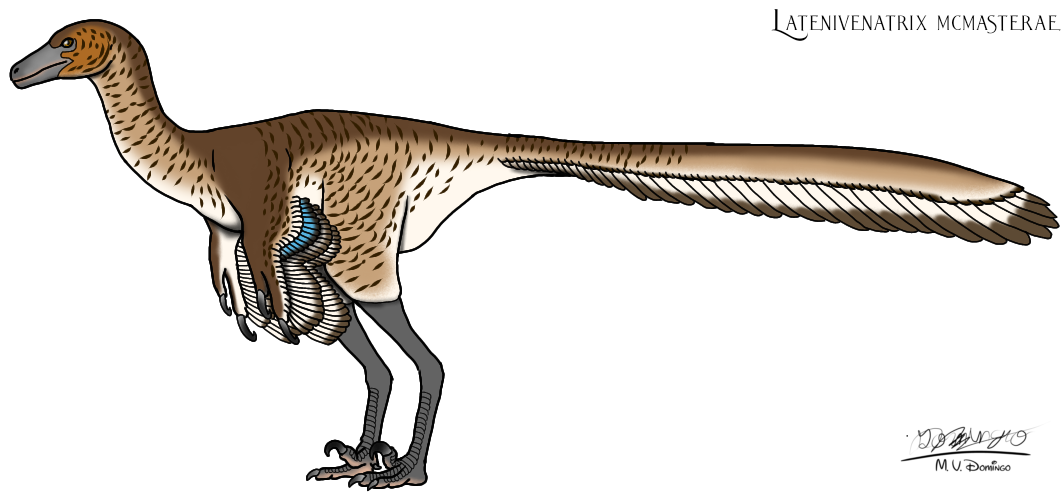 Latenivenatrix mcmasterae by Ognimdo2002 on DeviantArt