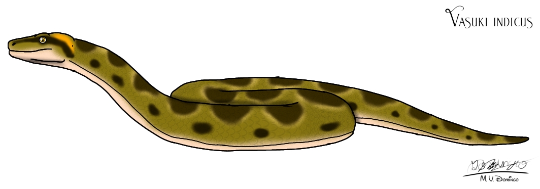 Visuki Indicus Vasuki indicus by Ognimdo2002 on DeviantArt