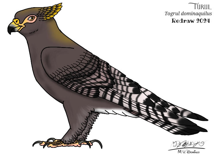Turul Rajz Turul (2024) by Ognimdo2002 on DeviantArt