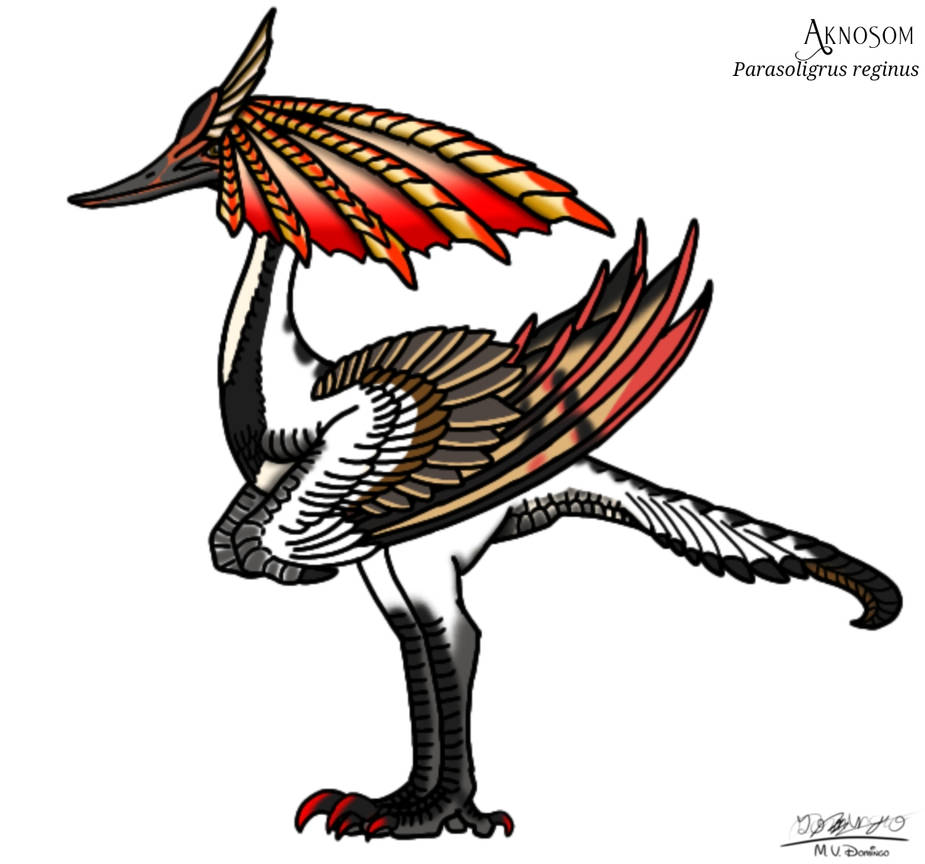 Acranom Aknosom by Ognimdo2002 on DeviantArt
