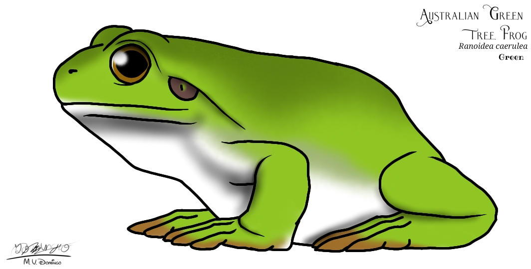 Australian Green Tree Frog by Ognimdo2002 on DeviantArt