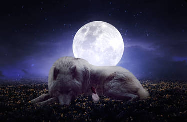 PhotoManipulation - The Dream with the Big Wolf