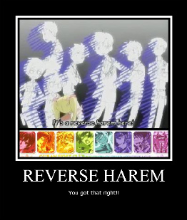 Reverse Harem