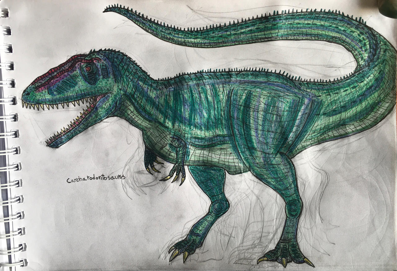 Carcharodontosaurus By Spinocario On DeviantArt carcharodontosaurus-by-spinocario-on-deviantart