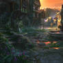Town