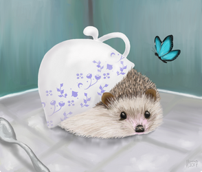 Blue China Hedgehog