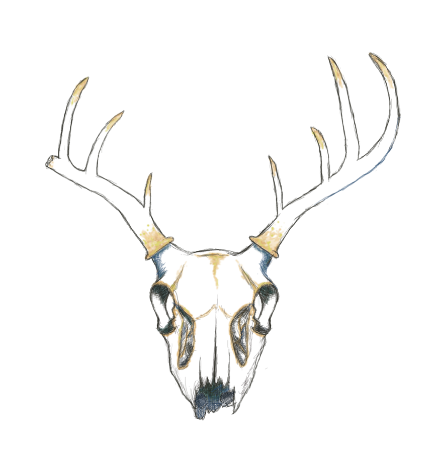 Stag skull by hannxm on DeviantArt