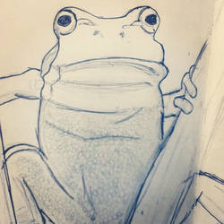 This one's just a frog.