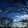 Clouds.