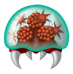 Metroid