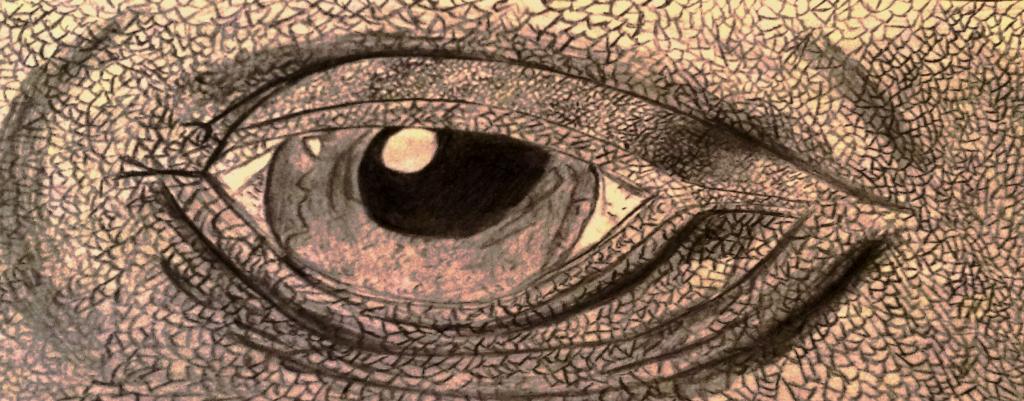 Lizard Eye