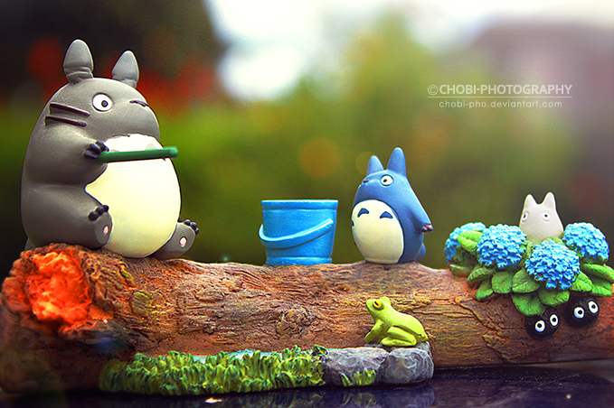 My Neighbor Totoro!