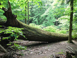 Hells Hallow-11