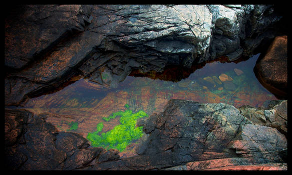 Tide Pool