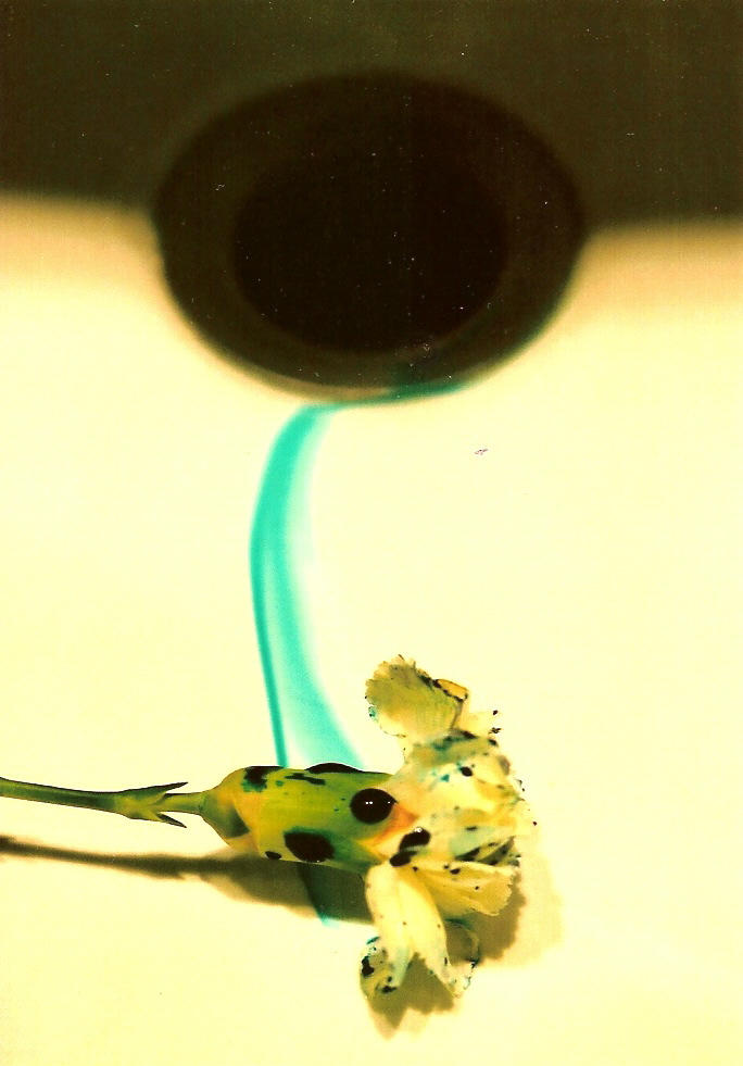 bleed blue by picsmania on DeviantArt