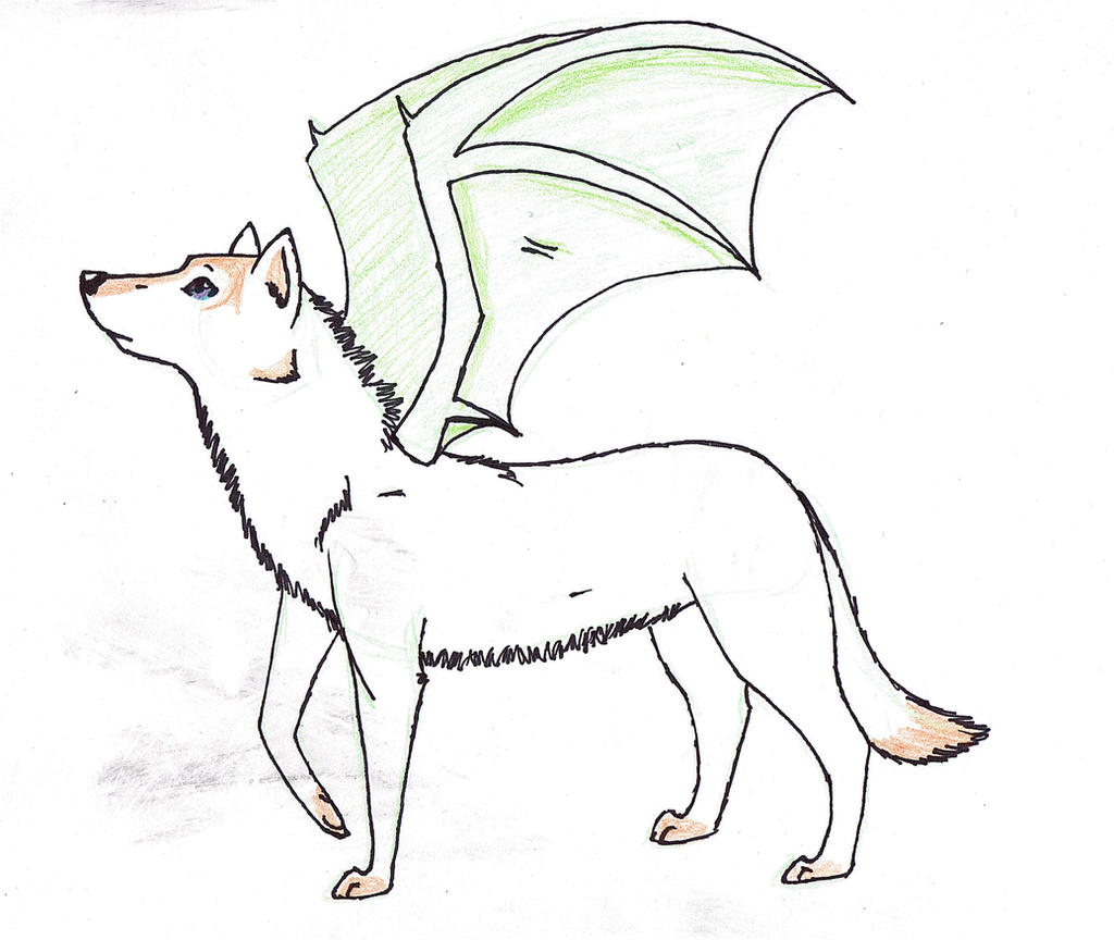 Wolf With Dragon Wings