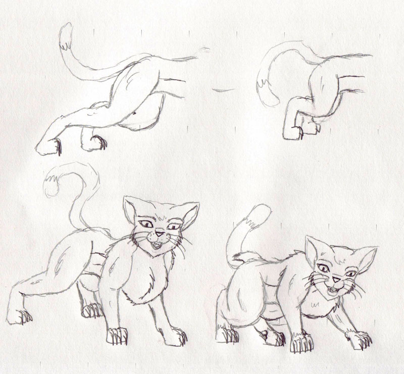 Sequence Cats