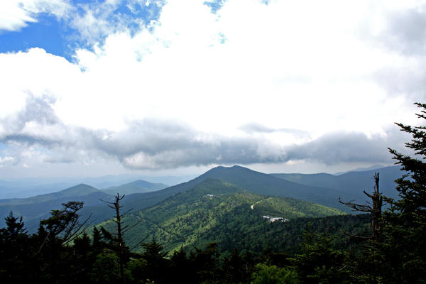 Mt Mitchell