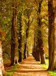 Memory Lane by Lilleninja Memory Lane by Lilleninja