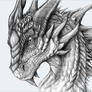 Fierce-Dragon-Drawing-For-Free