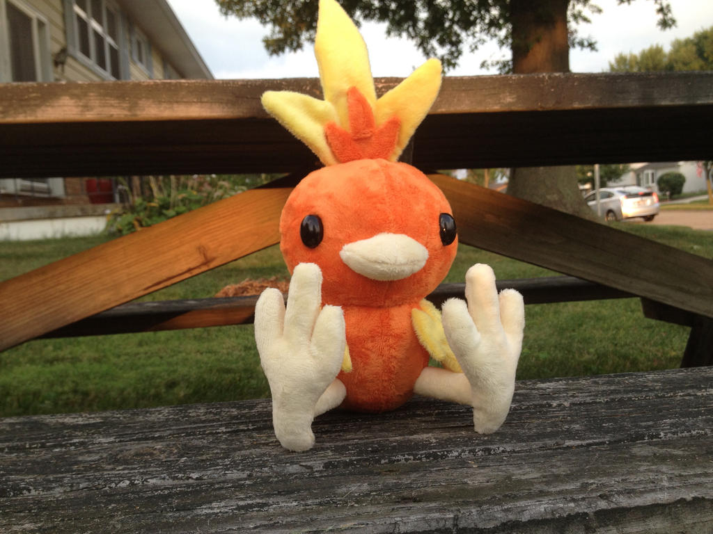 Torchic Plush