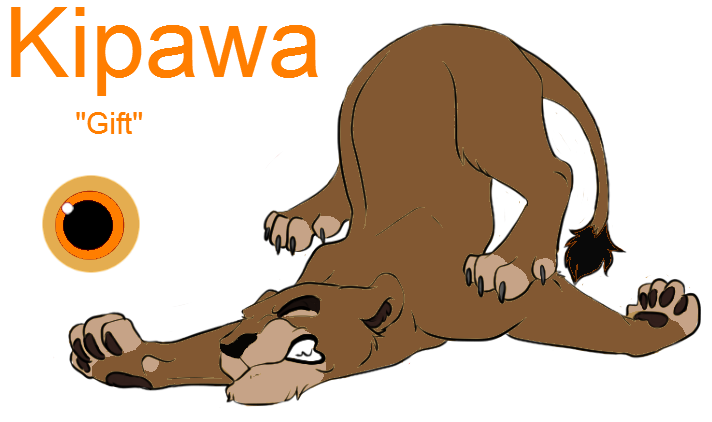 Kipawa